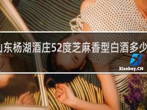 山东杨湖酒庄52度芝麻香型白酒多少钱一瓶