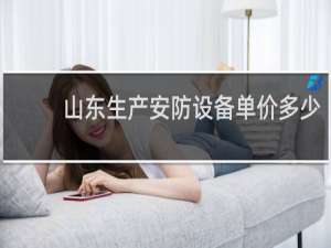 山东生产安防设备单价多少