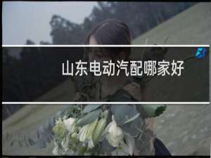 山东电动汽配哪家好
