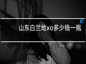 山东白兰地xo多少钱一瓶