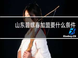 山东碧螺春加盟要什么条件