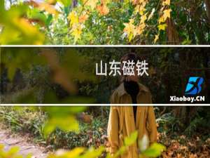 山东磁铁