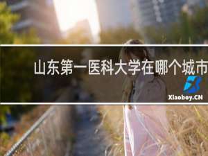 山东第一医科大学在哪个城市
