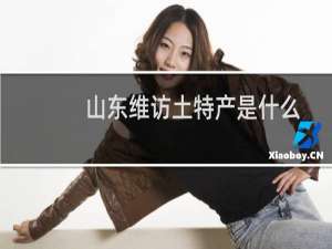 山东维访土特产是什么