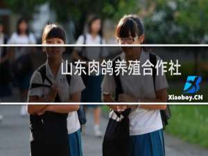 山东肉鸽养殖合作社