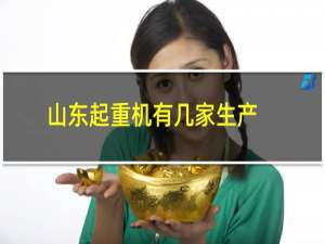 山东起重机有几家生产