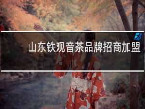 山东铁观音茶品牌招商加盟