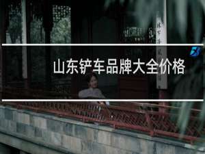 山东铲车品牌大全价格