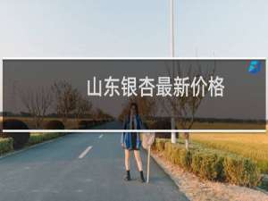 山东银杏最新价格