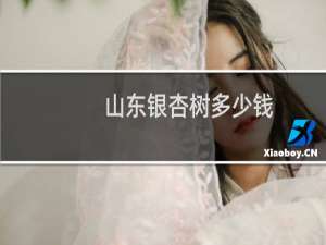 山东银杏树多少钱