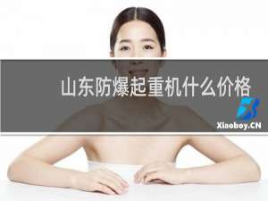 山东防爆起重机什么价格