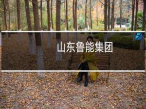 山东鲁能集团