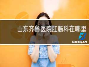 山东齐鲁医院肛肠科在哪里