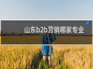 山东b2b营销哪家专业