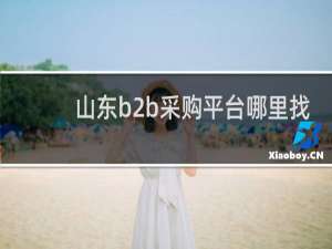 山东b2b采购平台哪里找