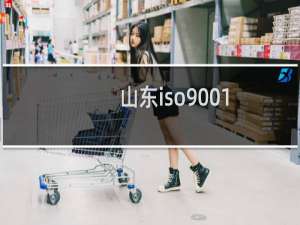 山东iso9001