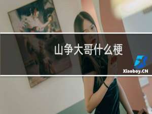 山争大哥什么梗