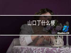 山口丁什么梗