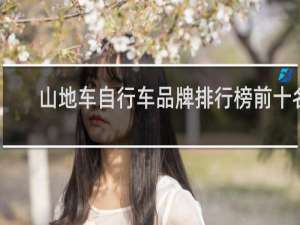 山地车自行车品牌排行榜前十名