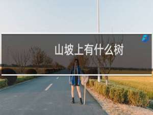 山坡上有什么树