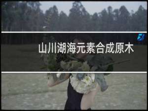 山川湖海元素合成原木