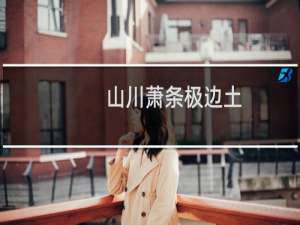 山川萧条极边土