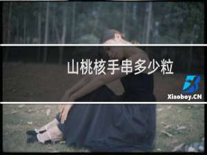 山桃核手串多少粒