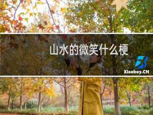 山水的微笑什么梗