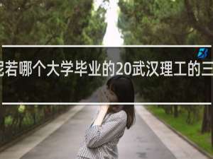 山泥若哪个大学毕业的 武汉理工的三本什么梗