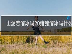 山泥若溜冰吗 猪猪溜冰吗什么梗