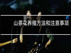 山茶花养殖方法和注意事项