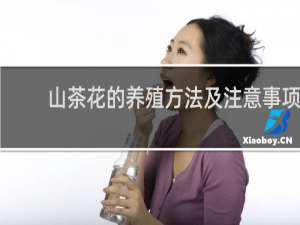 山茶花的养殖方法及注意事项