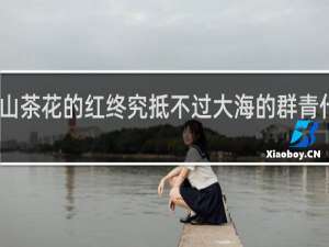 山茶花的红终究抵不过大海的群青什么梗