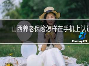 山西养老保险怎样在手机上认证