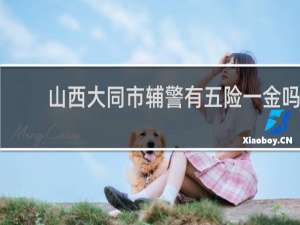 山西大同市辅警有五险一金吗