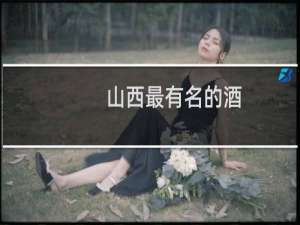 山西最有名的酒