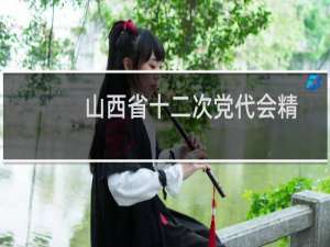 山西省十二次党代会精神（山西省十大特产）