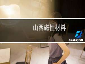 山西磁性材料