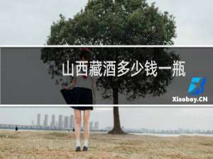 山西藏酒多少钱一瓶