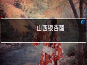 山西银杏醋