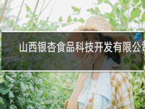 山西银杏食品科技开发有限公司