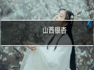 山西银杏