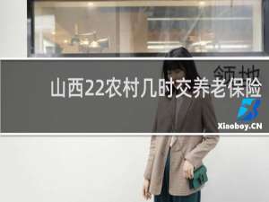 山西22农村几时交养老保险