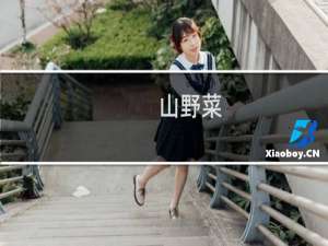 山野菜（虎林特产）