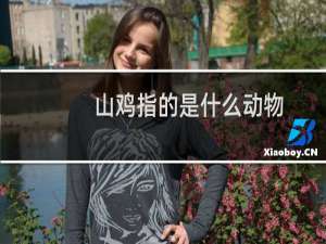 山鸡指的是什么动物