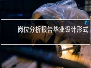 岗位分析报告毕业设计形式