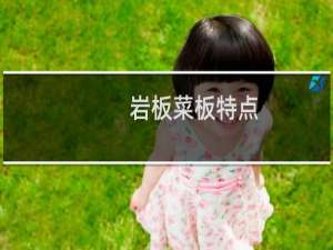 岩板菜板特点