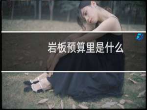 岩板预算里是什么