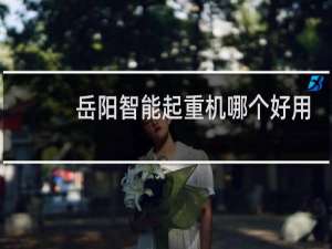 岳阳智能起重机哪个好用
