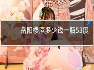 岳阳楼酒多少钱一瓶53度